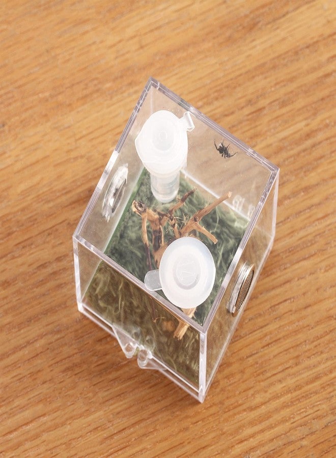 crapelles Jumping Spider Micro Big Habitat, Small Pet Insect Breeding Box, 360 Degree High Transparent Reptile Cage, Acrylic Case Mini Carrier for Amphibians, Feeding Container Enclosure Accessories - Image 3